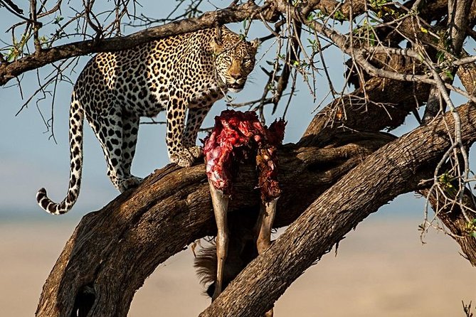 7 Days Mara/L.Naivasha/L.Nakuru/Amboseli - Day 3: Lake Naivasha and the active side of Hell’s Gate