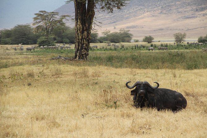 7 Days Mara/L.Naivasha/L.Nakuru/Amboseli - Day 4: Moving toward Lake Nakuru