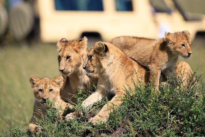 7 Days of Elephants, Rhinos & Big Five: The Best of Kenya Safari - Day 1: The Great Rift Valley on the way to Maasai Mara