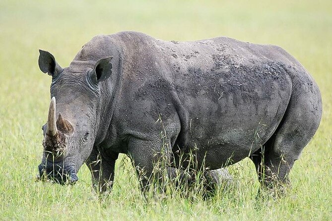 7 Days of Elephants, Rhinos & Big Five: The Best of Kenya Safari - Day 5: The long transfer to Amboseli
