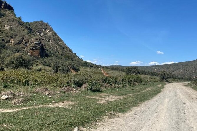 7 Days Private 4 star lodges Safari by LandCruiser from Nairobi - Day 7: Final game drive and return to Nairobi