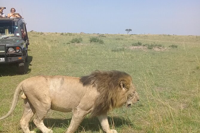 7 Days Private safari to 4 Star lodges using a Jeep - Key points before you book
