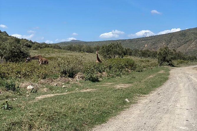 7 Days Private safari to 4 Star lodges using a Jeep - Day 4: Rhinos, Hell’s Gate biking, and Lake Naivasha