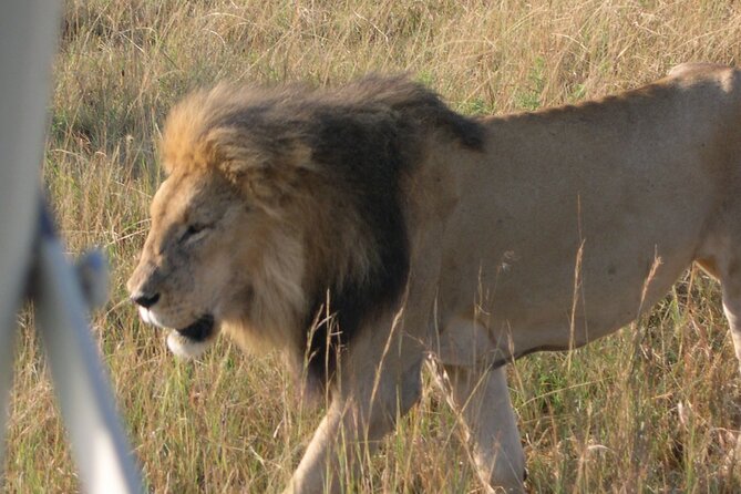 7 Days Private safari to 4 Star lodges using a Jeep - Day 5: The long road to Amboseli