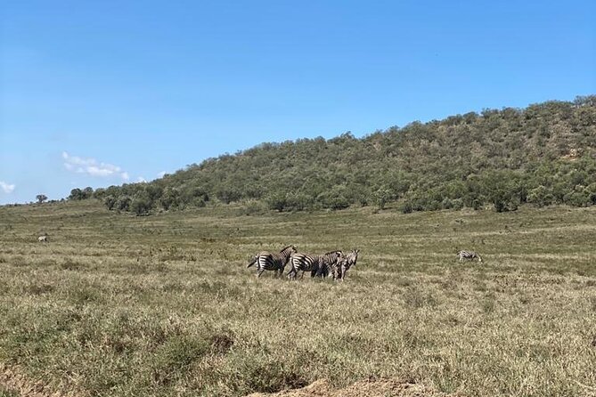 7 Days Private safari to 4 Star lodges using a Jeep - Day 6: The fullest Amboseli game-drive day