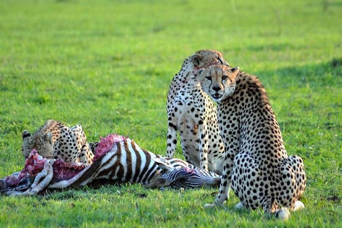 7 days safari to Masai Mara Nakuru ,Naivasha and Amboseli parks - Day 5: Cycling through Hell’s Gate before the long drive south