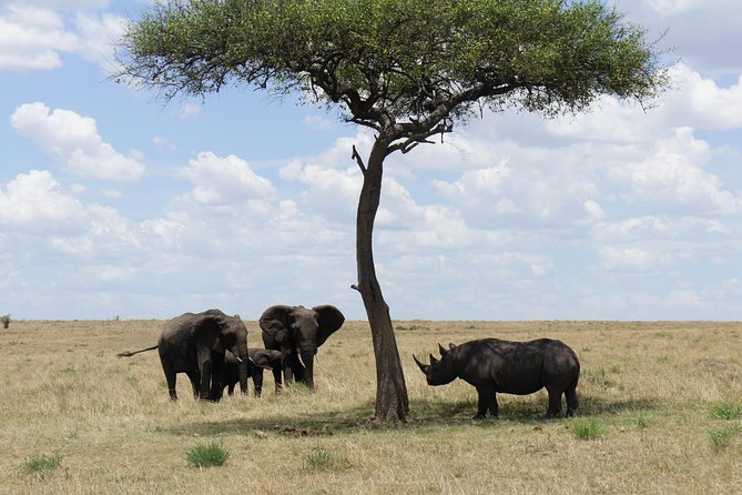 7 days Sopa lodges full private package - What this private safari is really offering