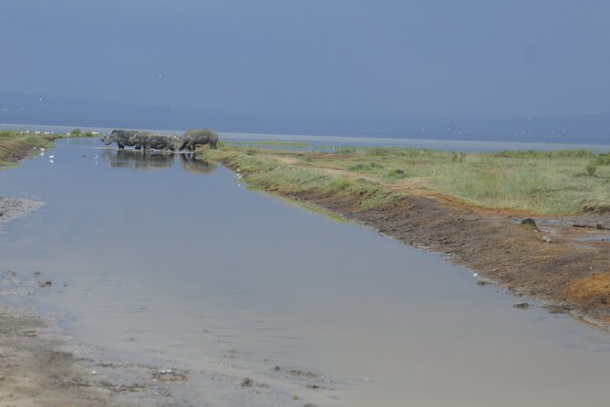 7 days Sopa lodges full private package - Lake Nakuru: rhinos, giraffes, and a busy afternoon