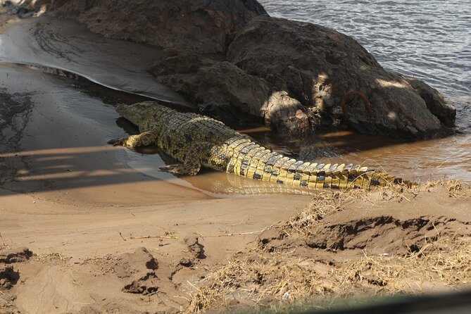 8-Day Amazing Kenya Holiday Safari - Day 3: Lake Nakuru’s birds and rhinos