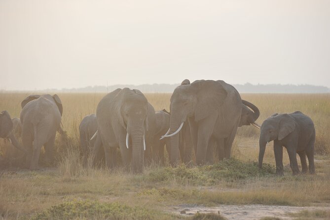 8 Days / 7 Nights 2021 / 2022 Wildebeest Migration Safari - Maasai Mara Reserve - Day 4: Lake Nakuru and the Great Rift Valley