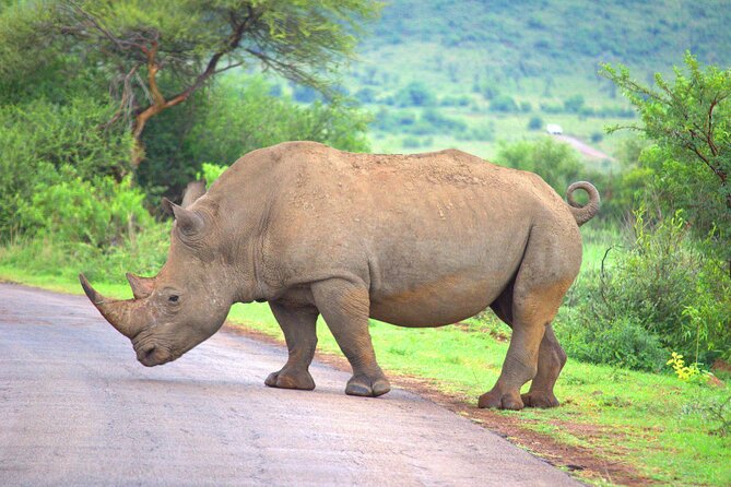 8 Days / 7 Nights 2021 / 2022 Wildebeest Migration Safari - Maasai Mara Reserve - Day 5: Entering the Maasai Mara