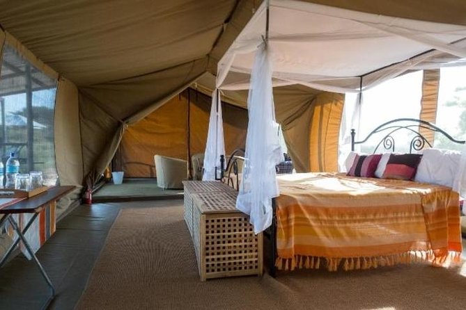 8 Days Kenya and Tanzania Private Lodging Safari from Nairobi - Days 4 and 5: Serengeti plains and the road to Ngorongoro