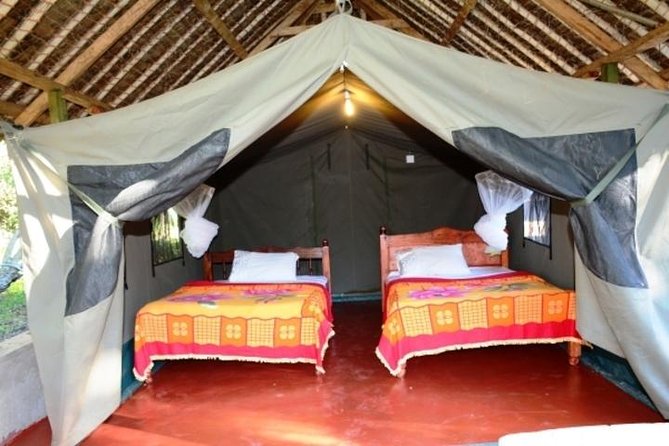 8 Days Kenya and Tanzania Private Lodging Safari from Nairobi - Day 8: Arusha to Nairobi by private shuttle