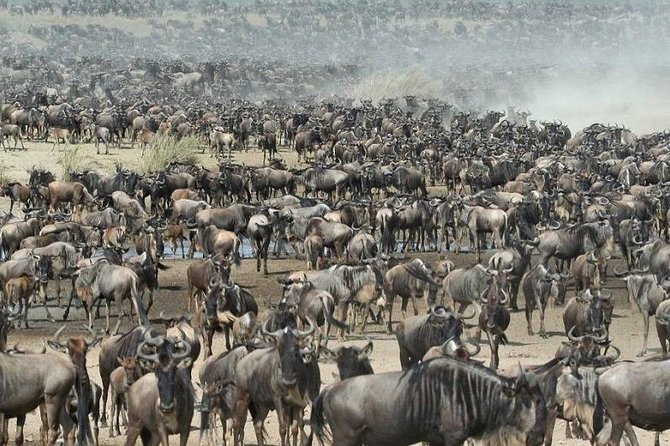 8 Days Kenya and Tanzania Private Lodging Safari from Nairobi - Day 2: The Mara River and a Maasai village