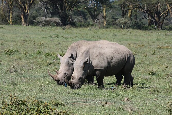 8 Days Kenya Safari Expedition - Days 2 and 3: The Maasai Mara earns its extra time