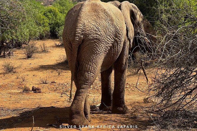 8 Days: Tsavo East National Park Amboseli, Nakuru, Maasai Mara Park - Tsavo East: red earth, elephants, and open country
