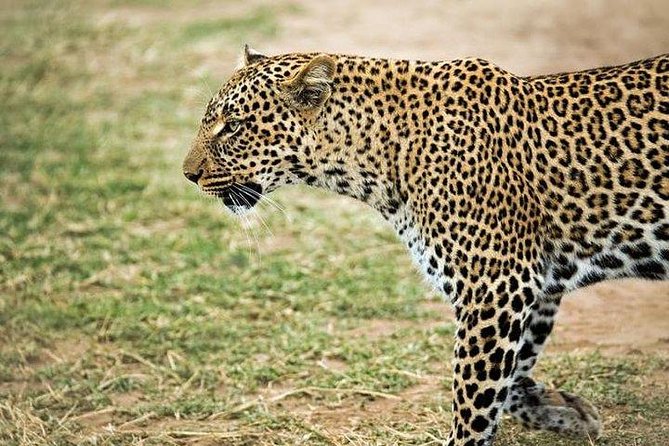 9 days, 8 nights budget Kenya and Tanzania safari - Why this Kenya and Tanzania route is good value