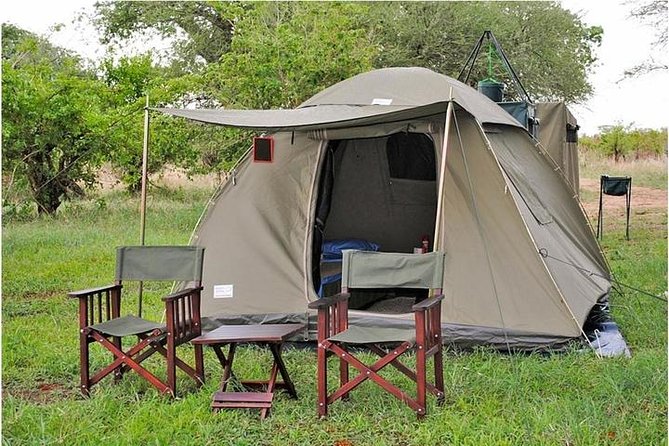 9 days, 8 nights budget Kenya and Tanzania safari - Day 5: Lake Manyara and the move into Tanzania