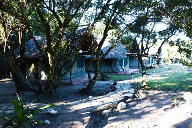 9 days, 8 nights budget Kenya and Tanzania safari - Day 7: A full day across the Serengeti
