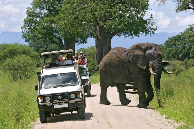 9-Days Best of Kenya Wildlife Private 4X4 Jeep Safari - Key things to know before booking