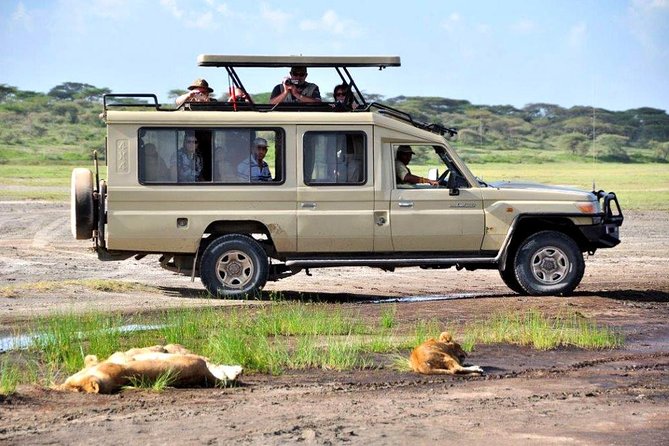 9-Days Best of Kenya Wildlife Private 4X4 Jeep Safari - Day 2: A full wildlife day in the Maasai Mara