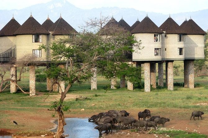 9 Days Kenya Classic Lodge Safari - Day 4: Lake Nakuru, Lake Naivasha, and Hell’s Gate