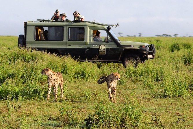 9 Days Kenya Classic Lodge Safari - Day 7: Amboseli to Tsavo West