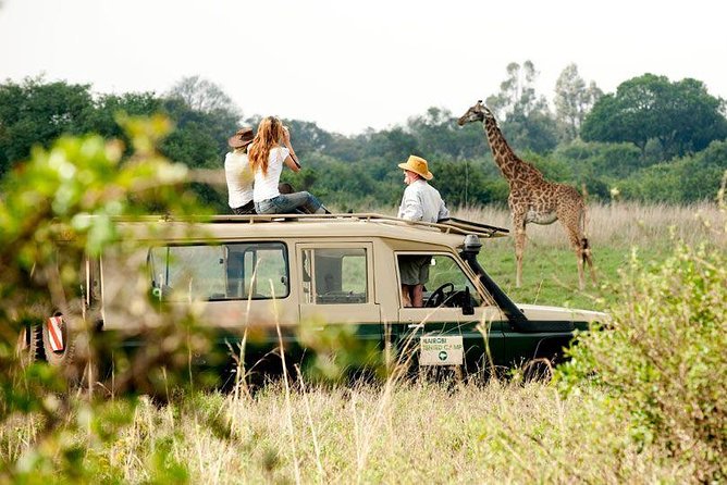 9 Days Kenya Classic Lodge Safari - Day 2: A full day among the Mara’s animals