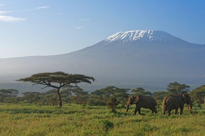 9 Days Samburu- Nakuru- Mara-Naivasha- Amboseli Wild Safari - Day 7: Walking or cycling at Hell’s Gate