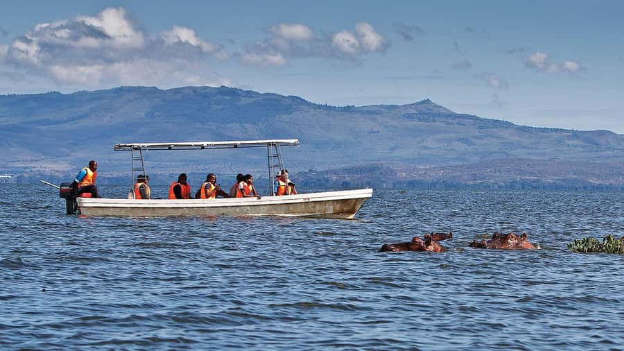 A day tour; Lake Nakuru national park& L. Naivasha Boat ride - A two-lake day from Nairobi