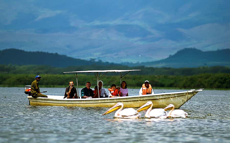 A day tour; Lake Nakuru national park& L. Naivasha Boat ride - Three hours among Lake Nakuru’s wildlife
