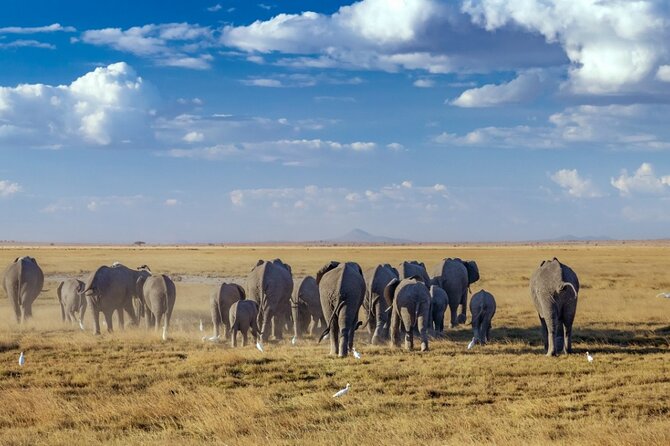 A thrilling Kenya 4 Days Adventure: Masai Mara &Lake Nakuru - Day 3: Leaving the Mara for Lake Nakuru