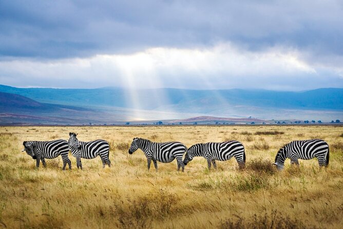 A thrilling Kenya 4 Days Adventure: Masai Mara &Lake Nakuru - The guide can make or break the trip