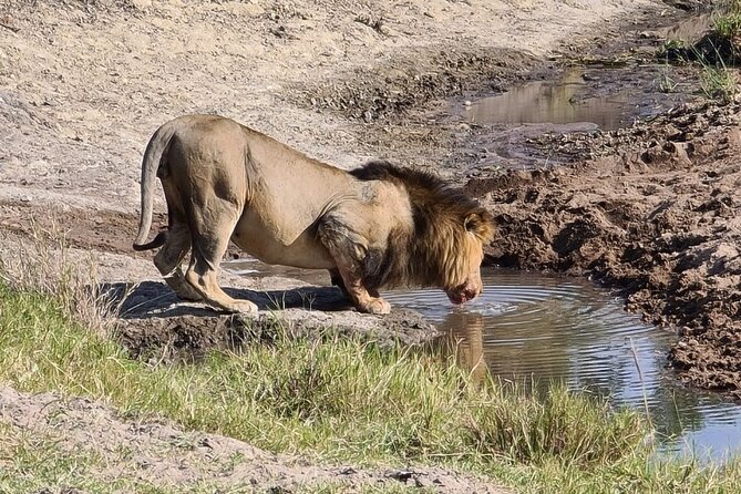 A thrilling Kenya 4 Days Adventure: Masai Mara &Lake Nakuru - Who will enjoy this safari most
