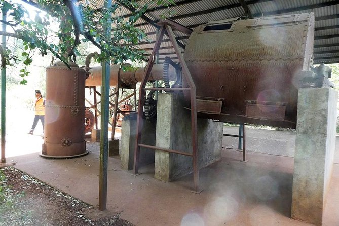 A visit to Karen Blixen Museum - Who should book this experience?
