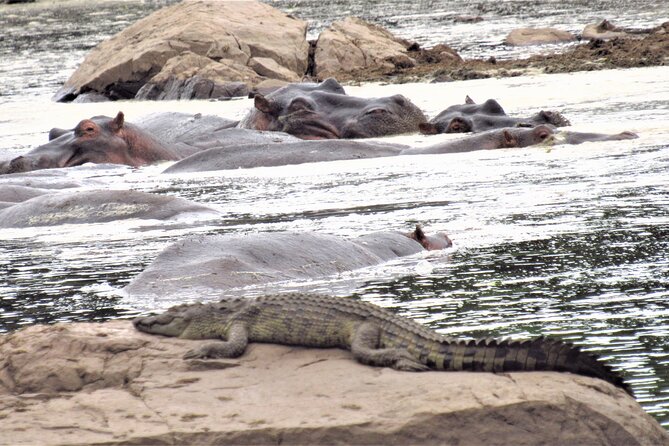 Adventure-fueled 3 Days Maasai Mara Safari - Who will enjoy this safari most?