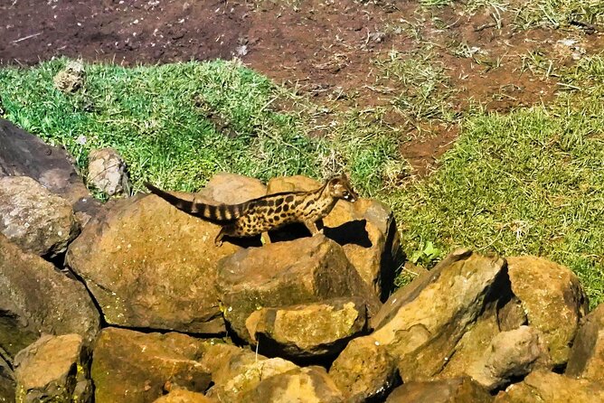 African Wildlife Safari 7 Days - Day 1: A soft landing at Sarova Panafric