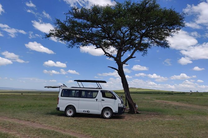 Afternoon half day mini safari to Nairobi National Park - The 2:00 PM Start and 6:00 PM Return