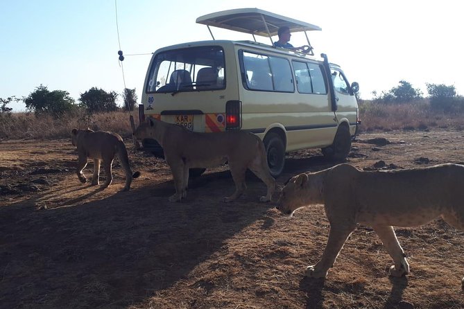 Airport Pick Up To Nairobi National Park / Drop Off - Why This Safari Works So Well for a Layover