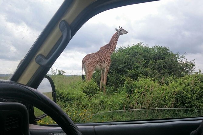 Airport Pick Up To Nairobi National Park / Drop Off - Booking and Cancellation Details