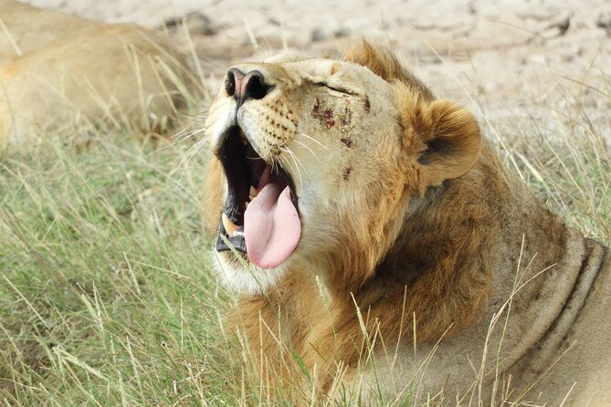 Amboseli Day Tour from Nairobi - Entering Amboseli National Park