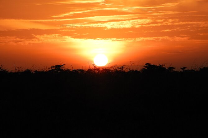 Amboseli Day Tour from Nairobi - The optional Maasai community visit