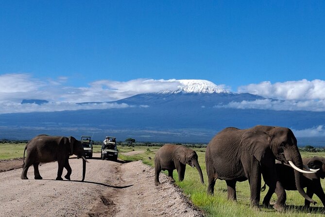 Amboseli Day Tour from Nairobi - The road to Amboseli takes patience