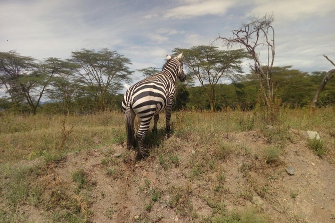 Amboseli Day Trip from Nairobi - Why this Amboseli day trip works from Nairobi