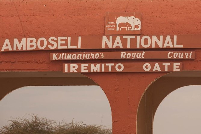 Amboseli Day Trip from Nairobi - The afternoon park time and return to Nairobi