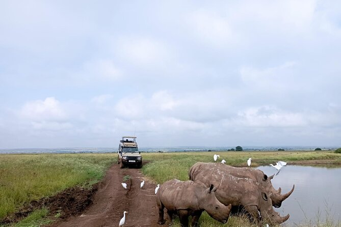 Amboseli day trip with pick up - The Maasai village visit adds a human dimension