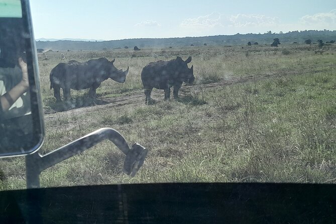 Amboseli day trip with pick up - Transport, group size, and the 5 a.m. start