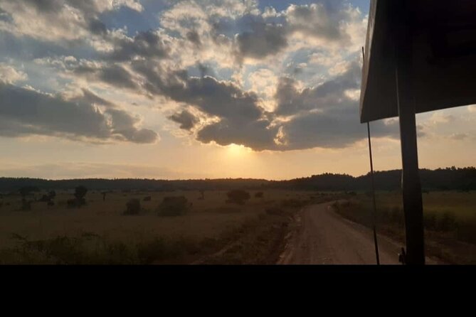 Amboseli Day Trip with Pickup - Game drives beneath Mount Kilimanjaro