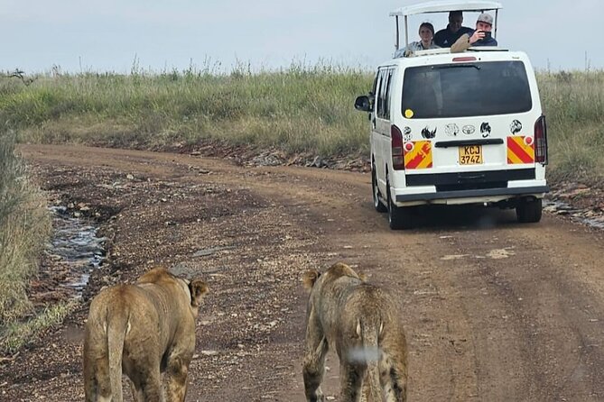 Amboseli Day Trip with Pickup - The 5:00 a.m. pickup from Nairobi