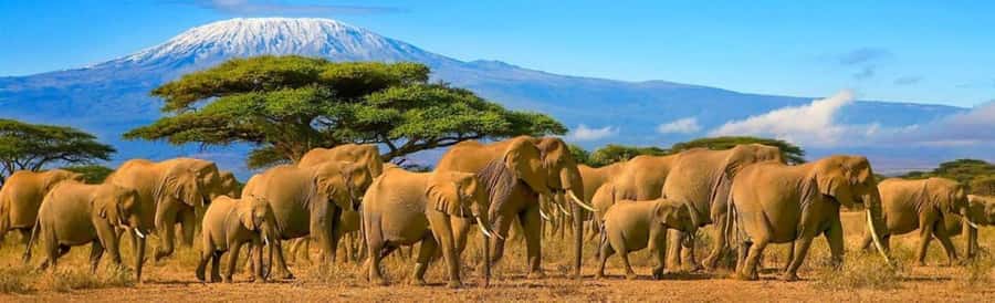 Amboseli National Park 3-Day Safari from Nairobi - Key points at a glance